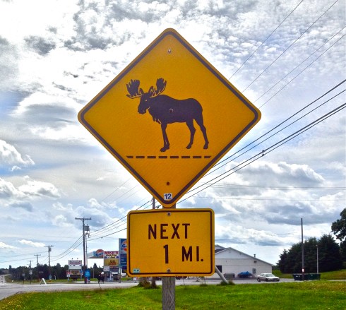 Moose Sign