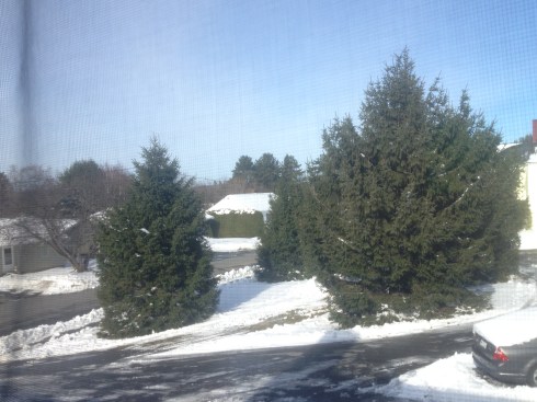 Photo Nov 04, 10 41 32 AM