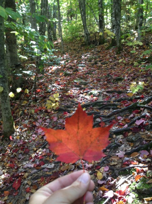 Photo Sep 28, 12 32 33 PM