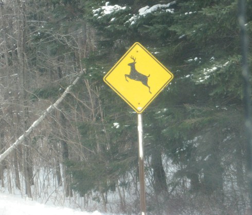 Look out for deer.